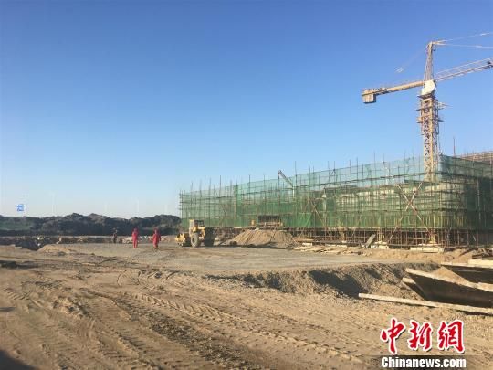 唐山豐南港最新動態(tài)，港口邊的溫情故事