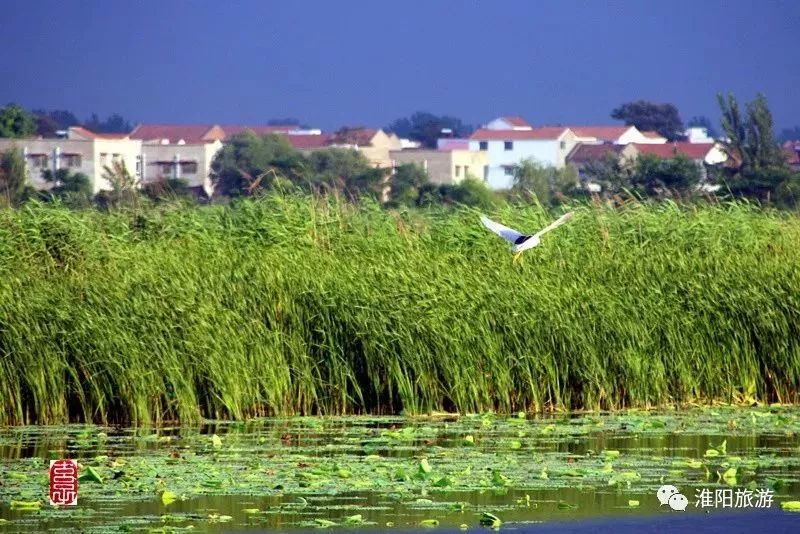 淮陽(yáng)新網(wǎng)發(fā)布最新規(guī)劃動(dòng)態(tài)