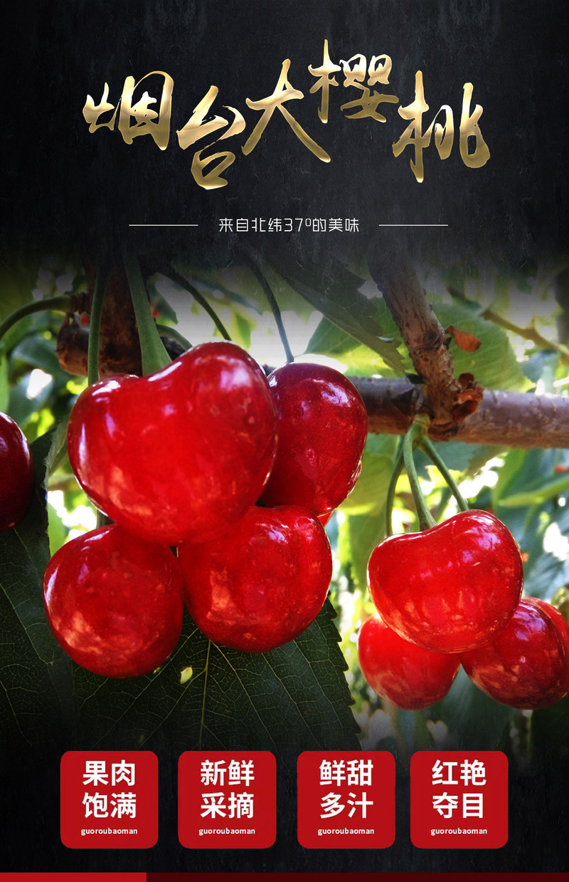 煙臺(tái)最新大櫻桃品種探析