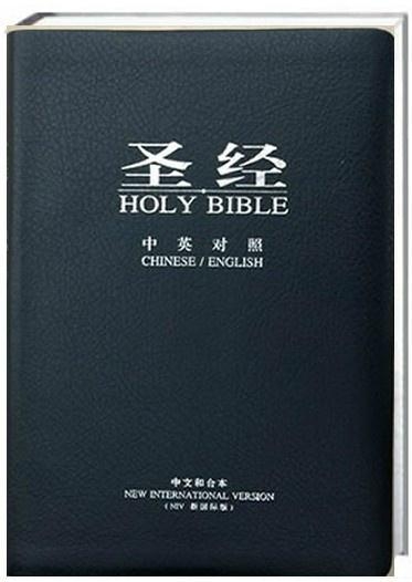 圣經(jīng)最新版本，科技與信仰的交融之作