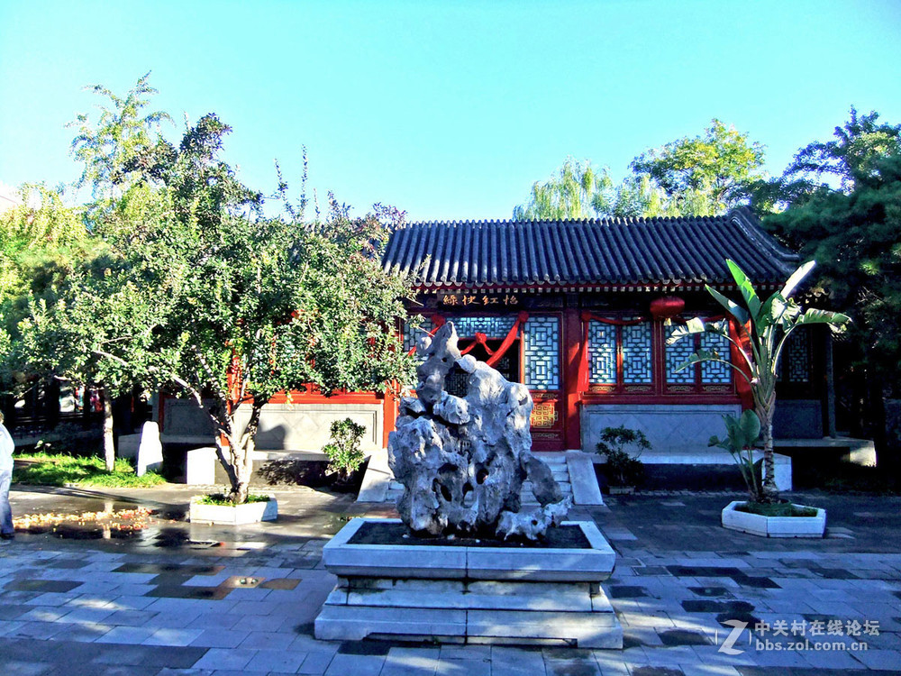 最新怡春院手機(jī)在線(xiàn)，日常趣事與情感紐帶連接的世界