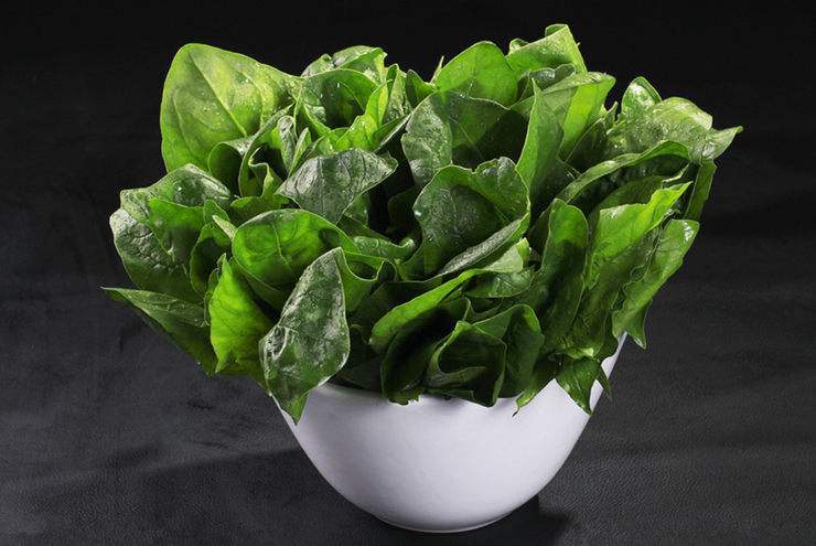 16年最新松花菜品種引領(lǐng)蔬菜種植新風(fēng)潮