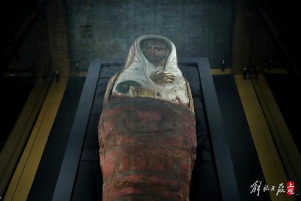 科技前沿，布醫(yī)無名的新產(chǎn)品革新與體驗(yàn)革新最新章節(jié)