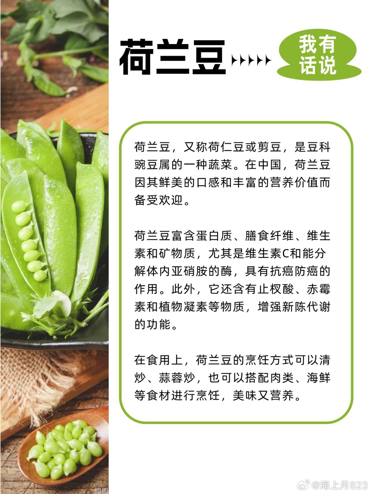 荷蘭豆價(jià)格最新行情指南，掌握最新行情，洞悉荷蘭豆價(jià)格動(dòng)態(tài)