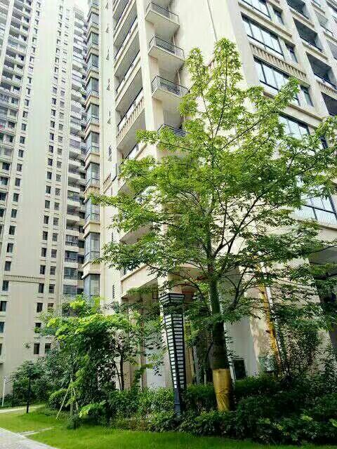 力沃幸福里最新動態(tài)，學習變化，成就自信與幸福之源