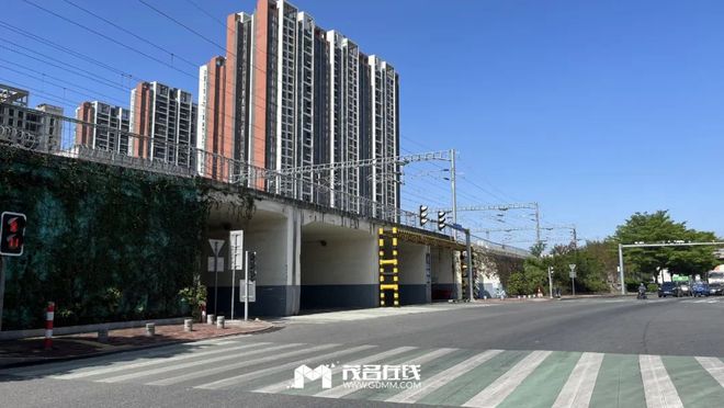 茂名最新動(dòng)態(tài)，蓬勃發(fā)展的城市關(guān)注焦點(diǎn)
