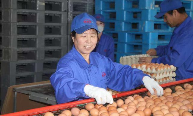 太仆寺旗寶昌最新房價，家的溫暖與房地產(chǎn)市場動態(tài)