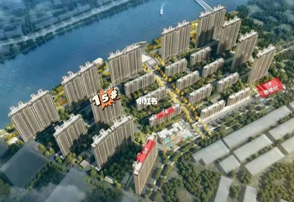 阜寧帝逸國(guó)際最新信息一覽，概覽與詳述