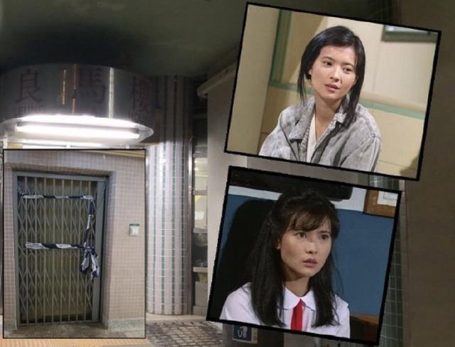 藍(lán)潔瑛最新消息2025，變化中的學(xué)習(xí)賦予自信與成就的力量