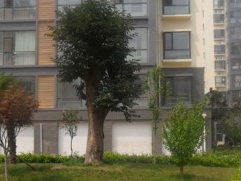 臨沭租房最新信息大全，便捷生活從此開始