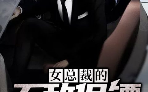 唐心怡蘇浩然小說最新進(jìn)展深度解析，新篇章揭秘