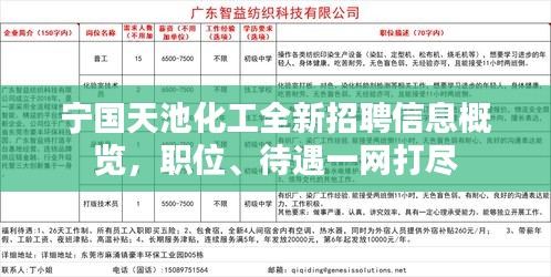 寧國(guó)白班最新招聘信息，職業(yè)繁榮與機(jī)遇在時(shí)代背景下的展現(xiàn)