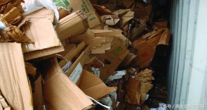 進(jìn)口廢紙最新政策下的隱秘寶藏探索，特色小店探秘之旅