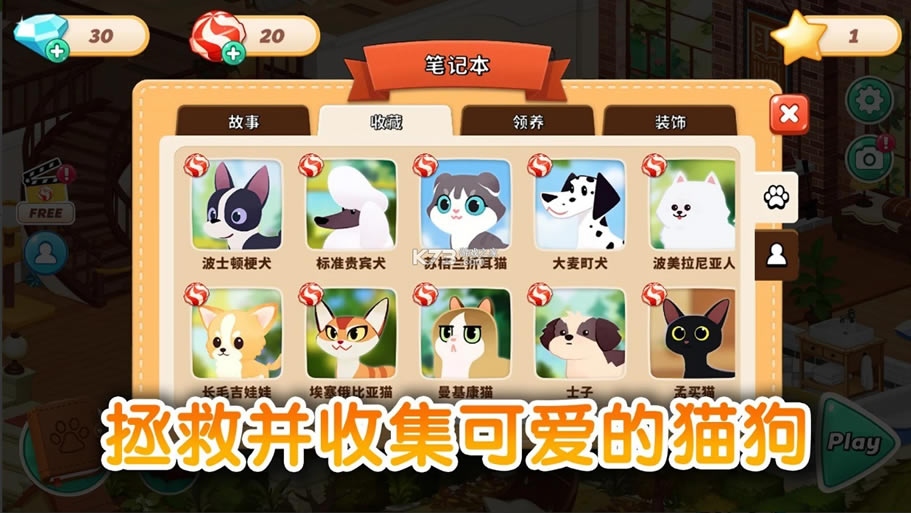 哈啰萌寵開心屋，探索寵物世界的最新樂園