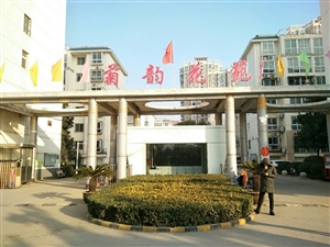 最新社旗獨(dú)家小院出售，市場趨勢、正反觀點(diǎn)分析與個(gè)人立場探討