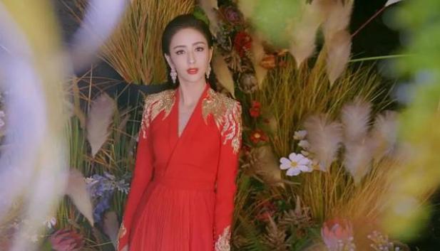 佟麗婭最新新聞，獲取與解讀明星資訊的步驟指南