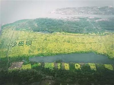 瀘州太伏事件最新進(jìn)展更新