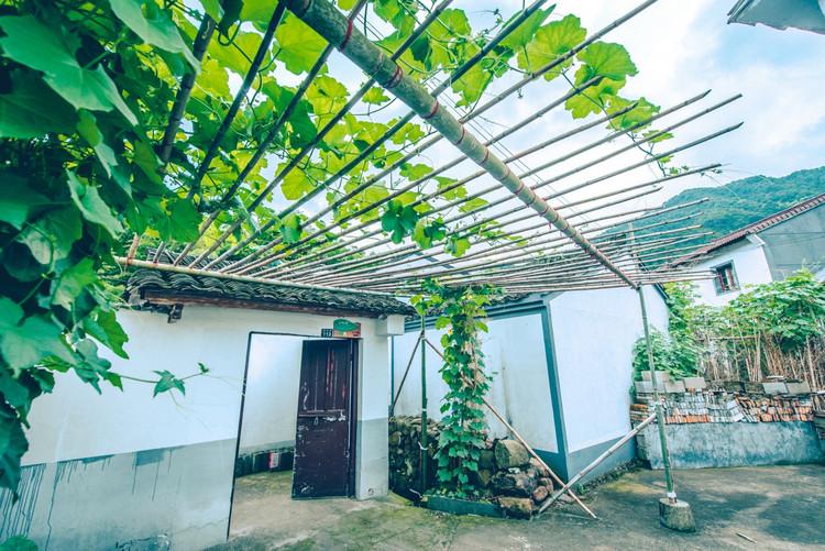 神級茶人最新章節(jié)，探尋自然美景之旅，追尋內心平靜之道