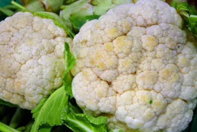 江蘇花菜價(jià)格最新動(dòng)態(tài)更新