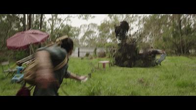 自然共舞的心靈之旅，最新狗狗電影鼓舞人心