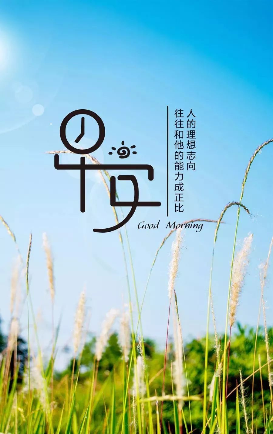 最新早安心語(yǔ)正能量，開(kāi)啟美好一天的積極力量