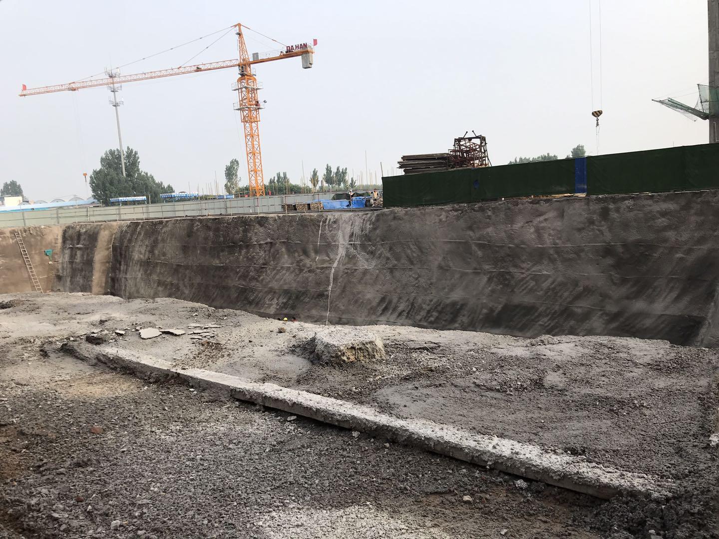 鵬洲麗城最新動態(tài)揭秘，小巷中的隱藏瑰寶