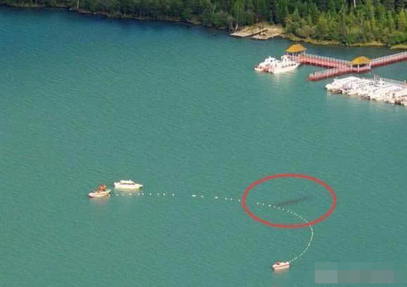 喀納斯湖水怪真相揭秘，探尋神秘之旅的心靈平靜之路