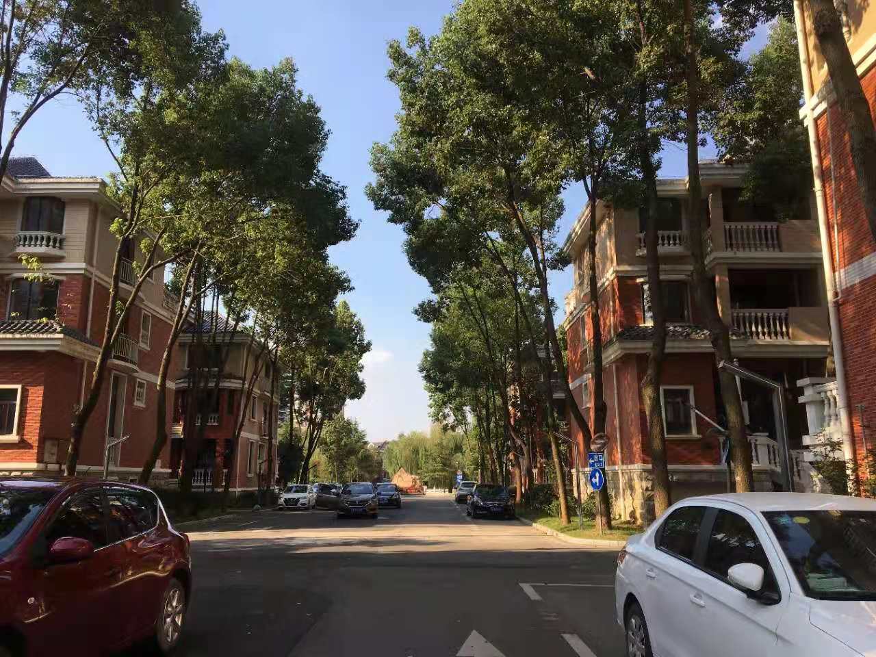 武漢卓峰地產(chǎn)最新動(dòng)態(tài)揭秘，最新進(jìn)展與動(dòng)態(tài)更新