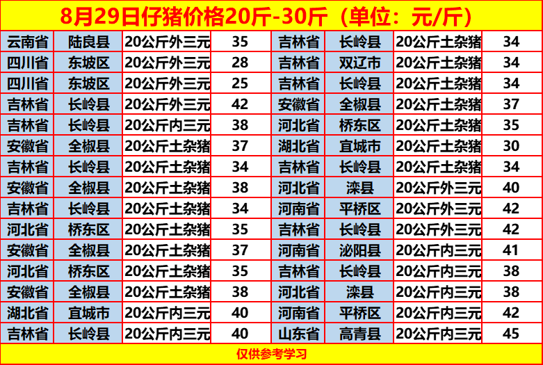 土雜豬最新價格動態(tài)，一場尋找內心平靜的旅程