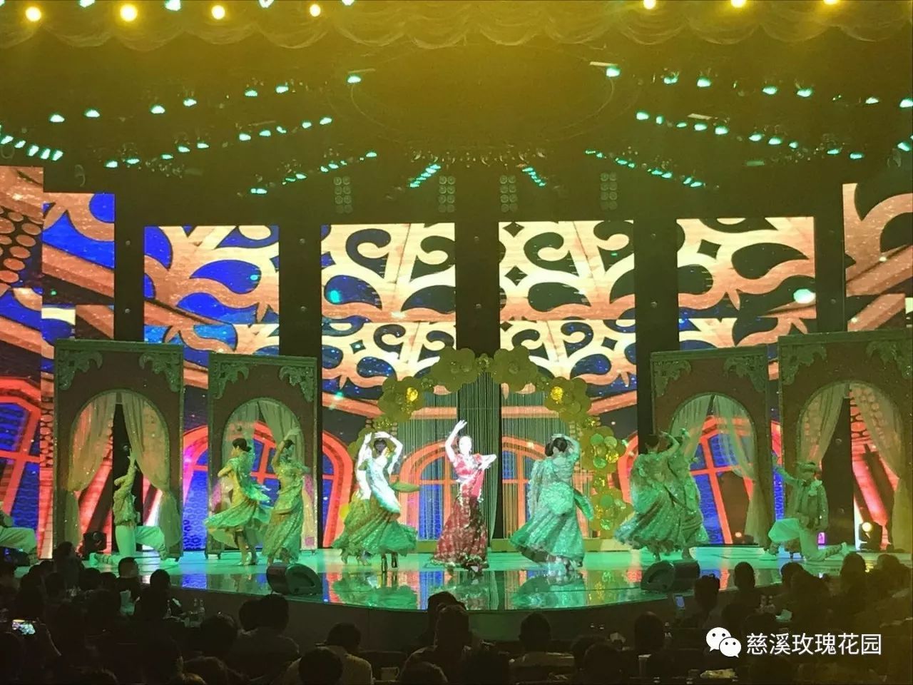 慈溪玫瑰花園最新視頻，綻放的玫瑰盛世美景