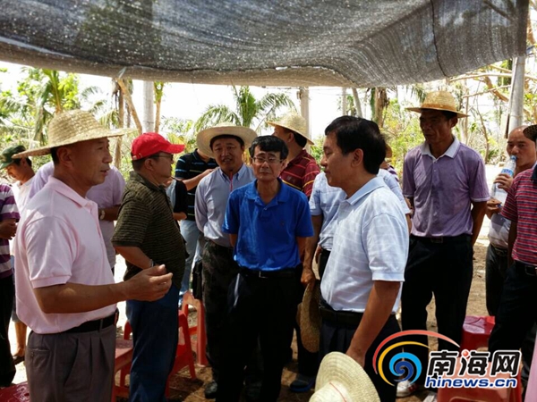 海南朱華友的最新動態(tài)，成就概覽與未來展望