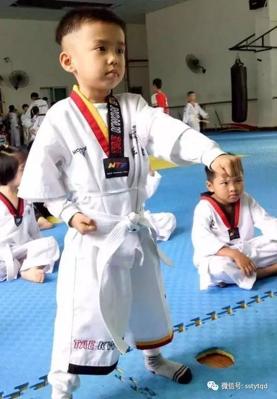 最新跆拳道上課流程，自信與成就感的源泉